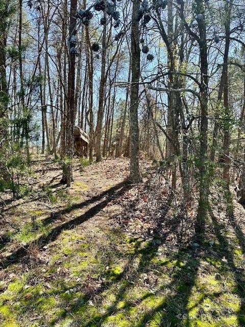 2 Lynn Mountain Road Vale, NC 28168 - Photo 13 of 13 a view of yard with trees