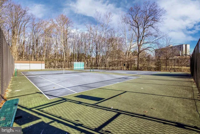 a view of a tennis ground with large trees