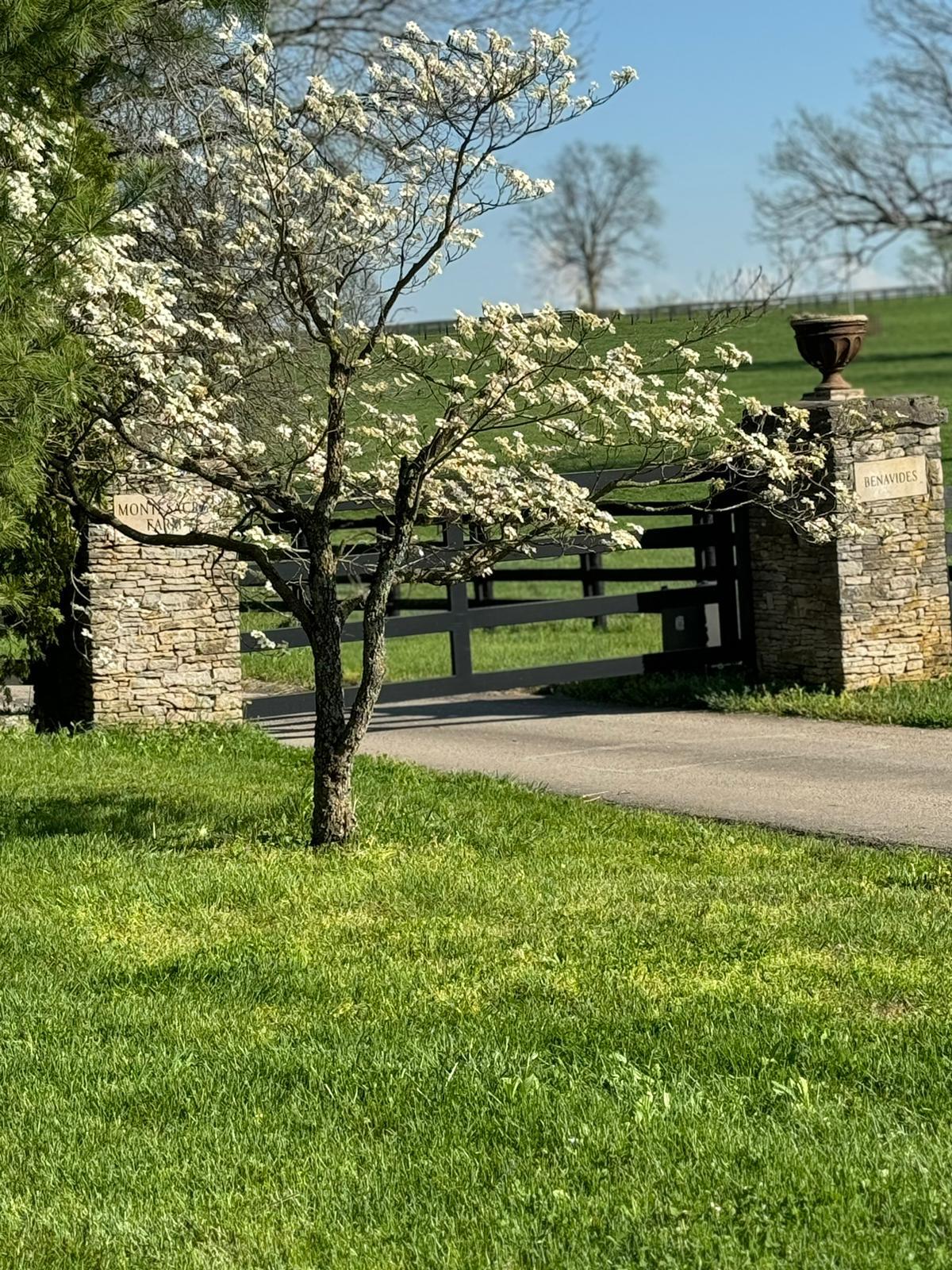 307 Stone Road Georgetown, KY 40324 - Photo 14 of 115 6a2cd63b-9bc5-479c-a062-b00c3d012baa