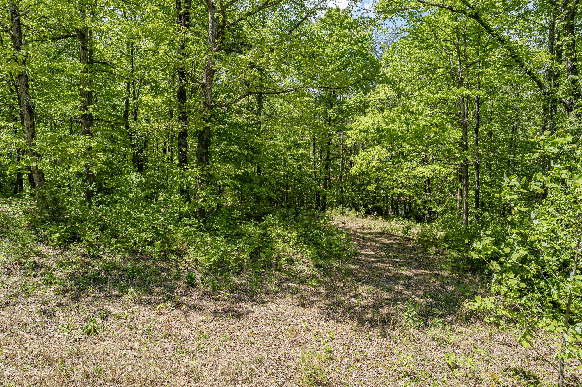 562 Griffith Branch Road Madisonville, TN 37354 - Photo 6 of 14 Gallery Image 6