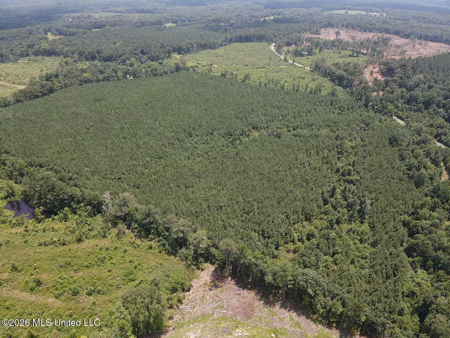 131 B County Road Morton, MS 39117 - Photo 14 of 25 2026-07-05-13-45-32-180