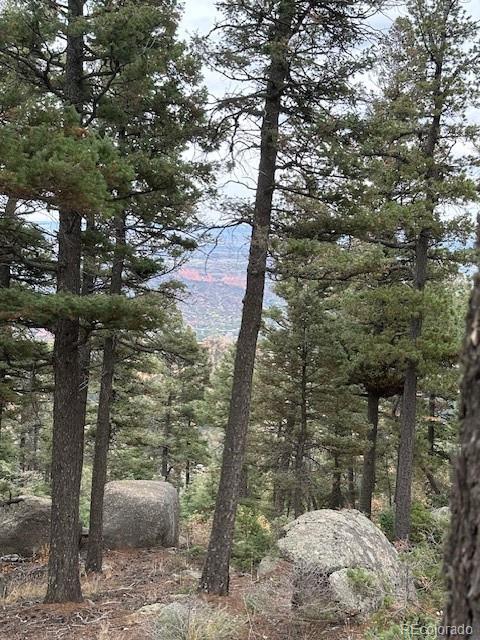 5304 Lost Cabin Road Manitou Springs, CO 80829 - Photo 4 of 4 a view of outdoor space and yard