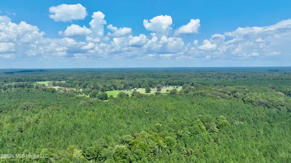$169,000 | 0 Scr 563, Morton, MS 39117