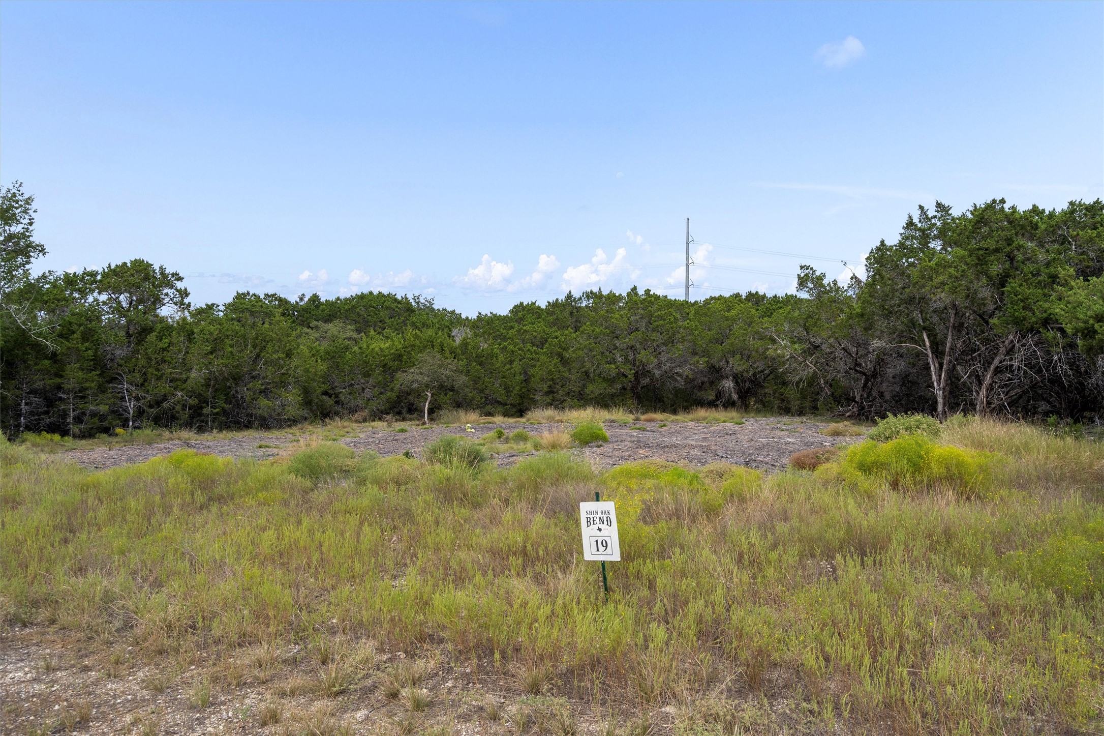 19 Riparian Elm Road Bertram, TX 78605 - Photo 7 of 10 View of tree filled area