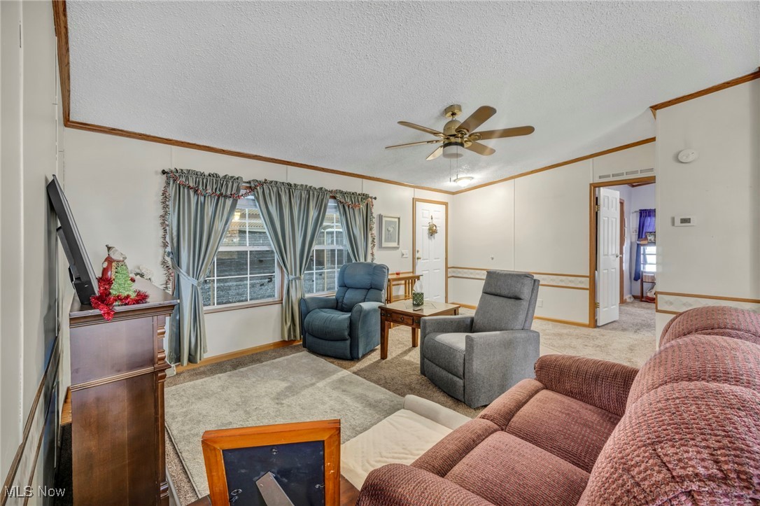 27202 Cook Road, Unit 95 Olmsted Falls, OH 44138 - Photo 9 of 46 Carpeted living room with crown molding, a textured ceiling, and a ceiling fan