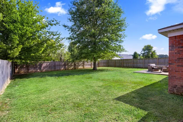 a view of backyard with green space