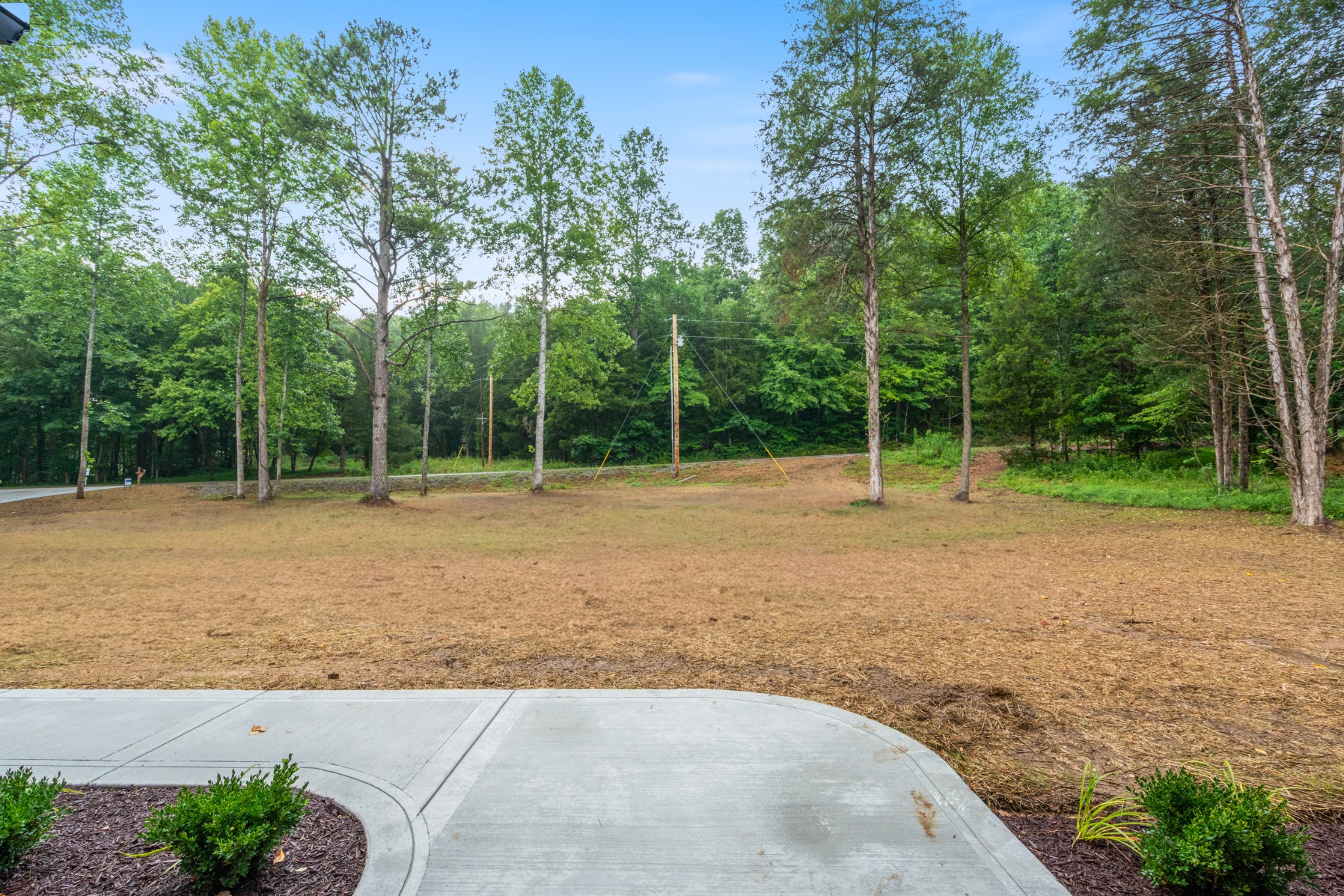 903 Furnace Hollow Road Dickson, TN 37055 - Photo 9 of 65 Gallery Image 9