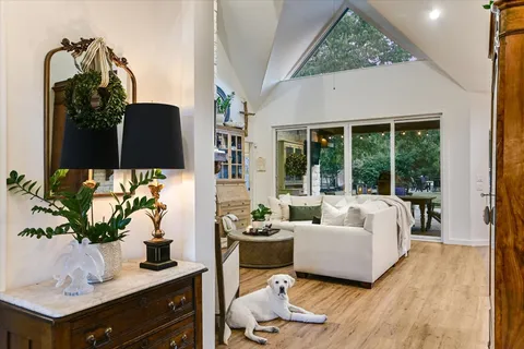 a living room with furniture and a potted plant