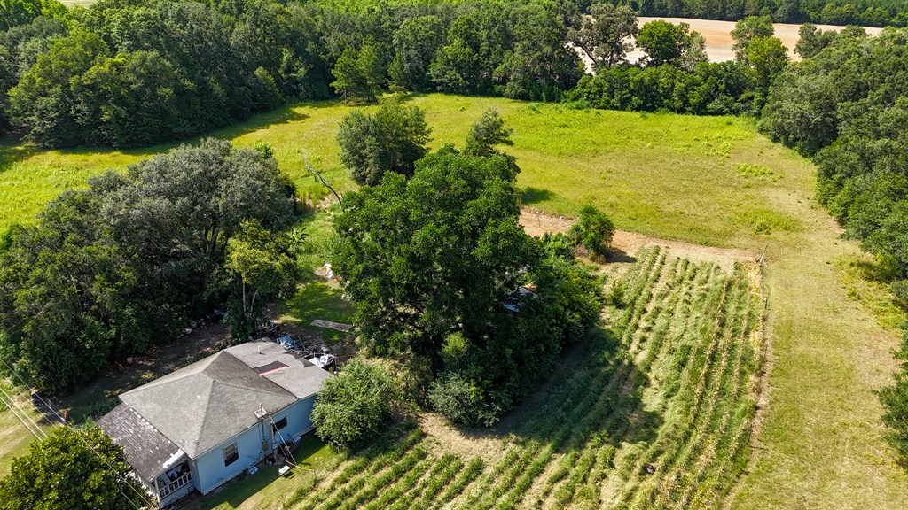 0 Main Street Headland, AL 36345 - Photo 11 of 12