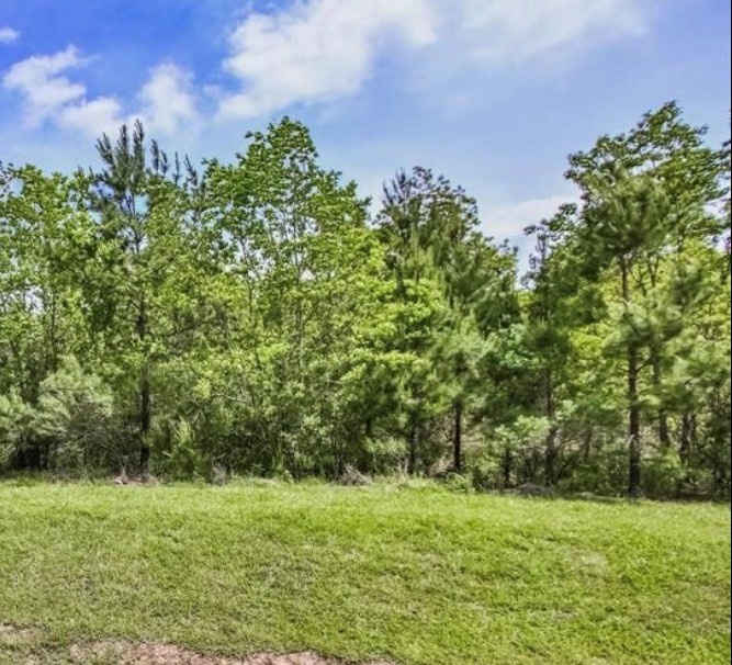 27588 South Lazy Meadow Way Spring, TX 77386 - Photo 4 of 9 Lot View