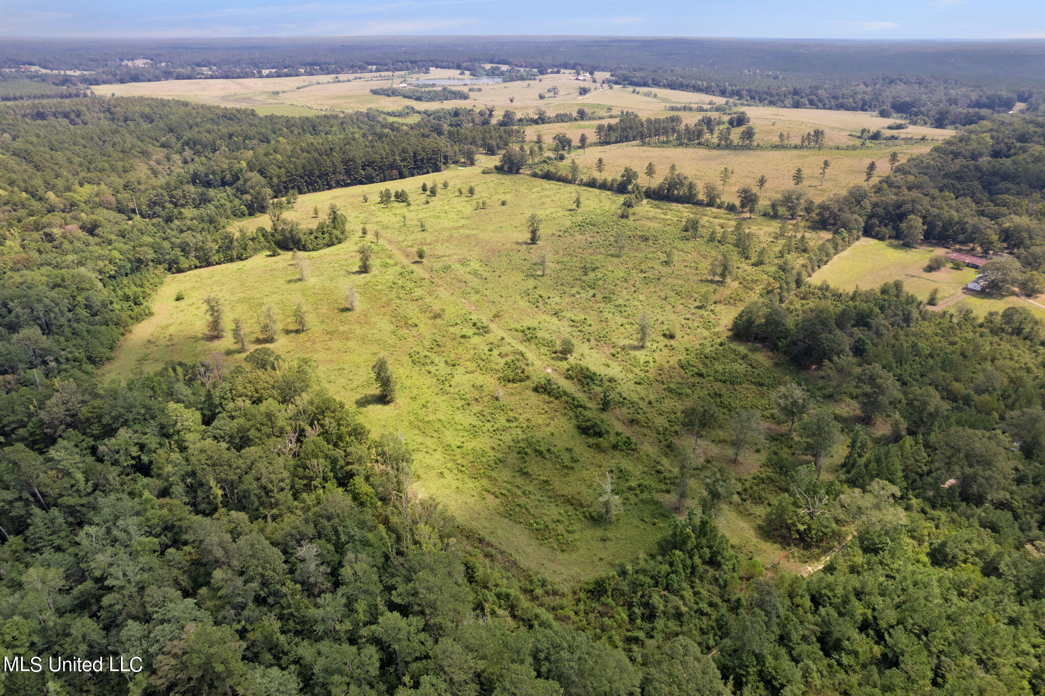 603 Osborn Moody Road Poplarville, MS 39470 - Photo 66 of 72 603_Osborn_Moody_Rd-71