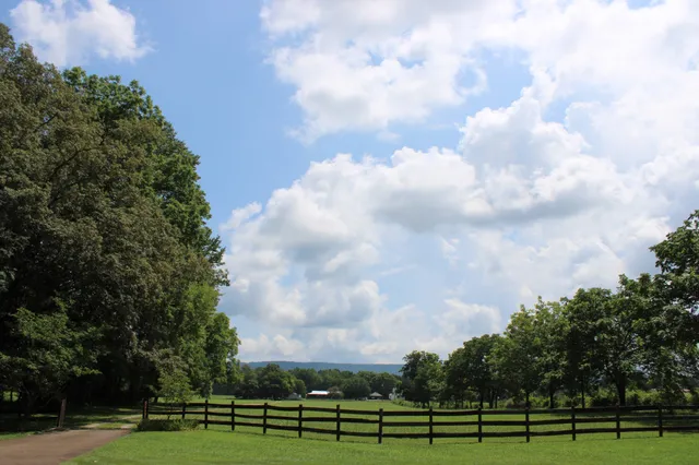 a view of outdoor space and garden