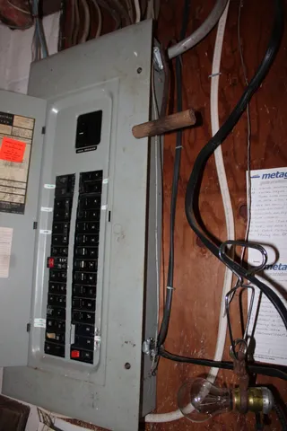 a view of a yard with plants