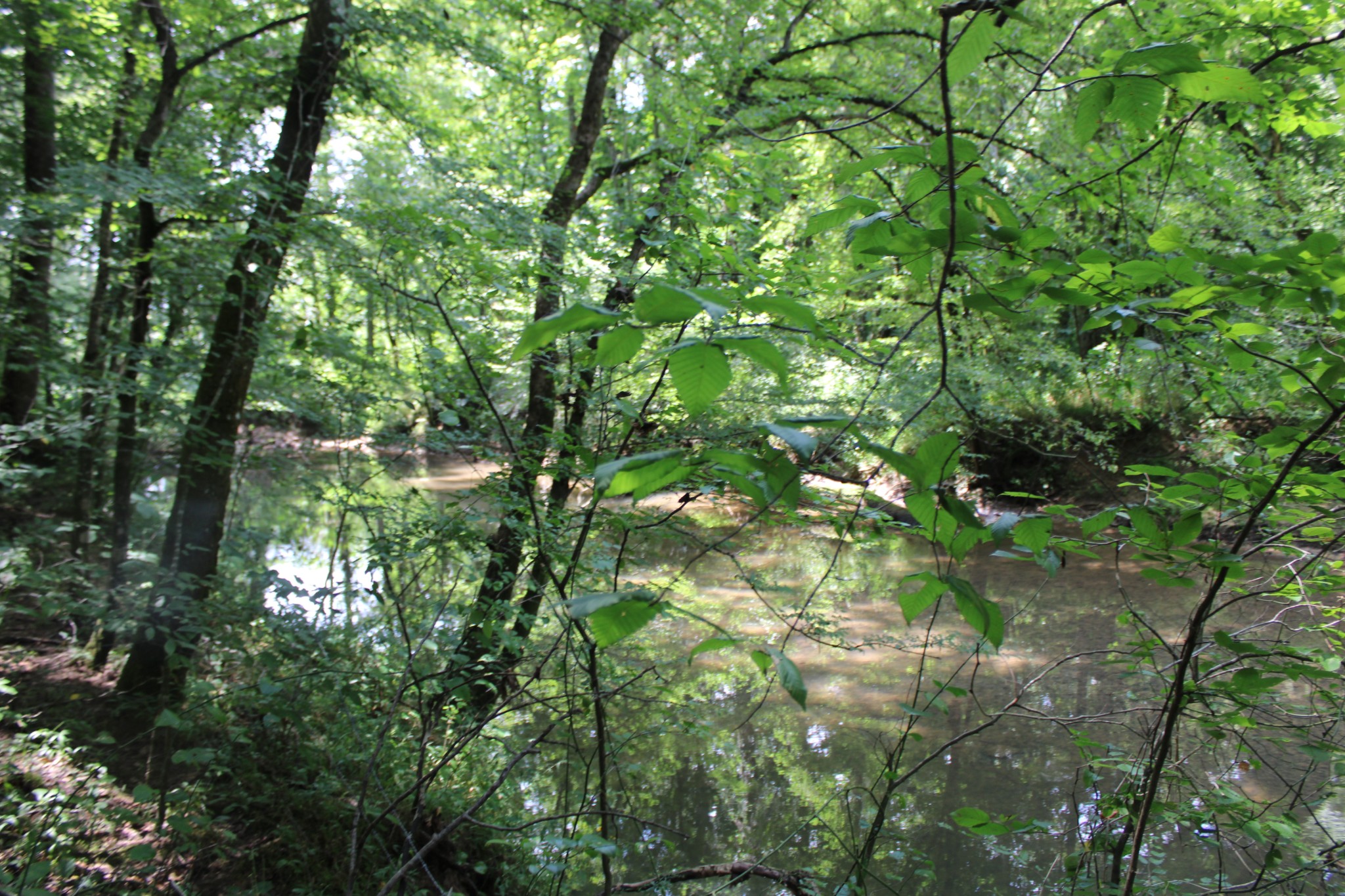 200 Primrose Lane Morrison, TN 37357 - Photo 51 of 53