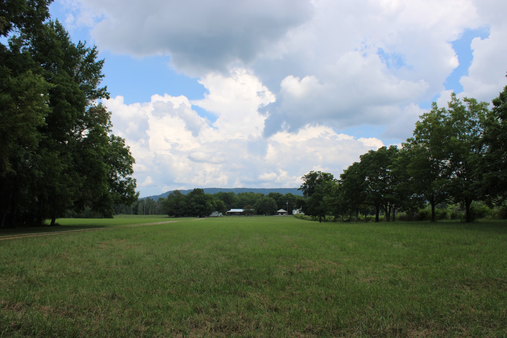 200 Primrose Lane Morrison, TN 37357 - Photo 8 of 53 a view of a grassy field