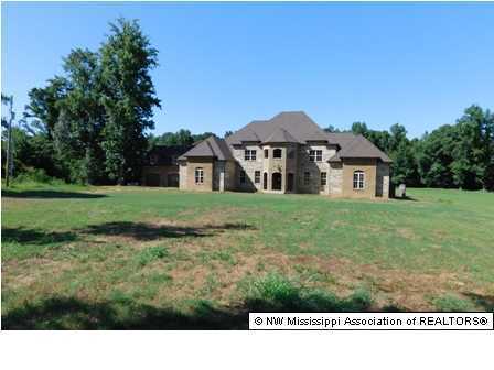 4480 Austin Road Nesbit, MS 38651 - Photo 1 of 17 Primary Photo
