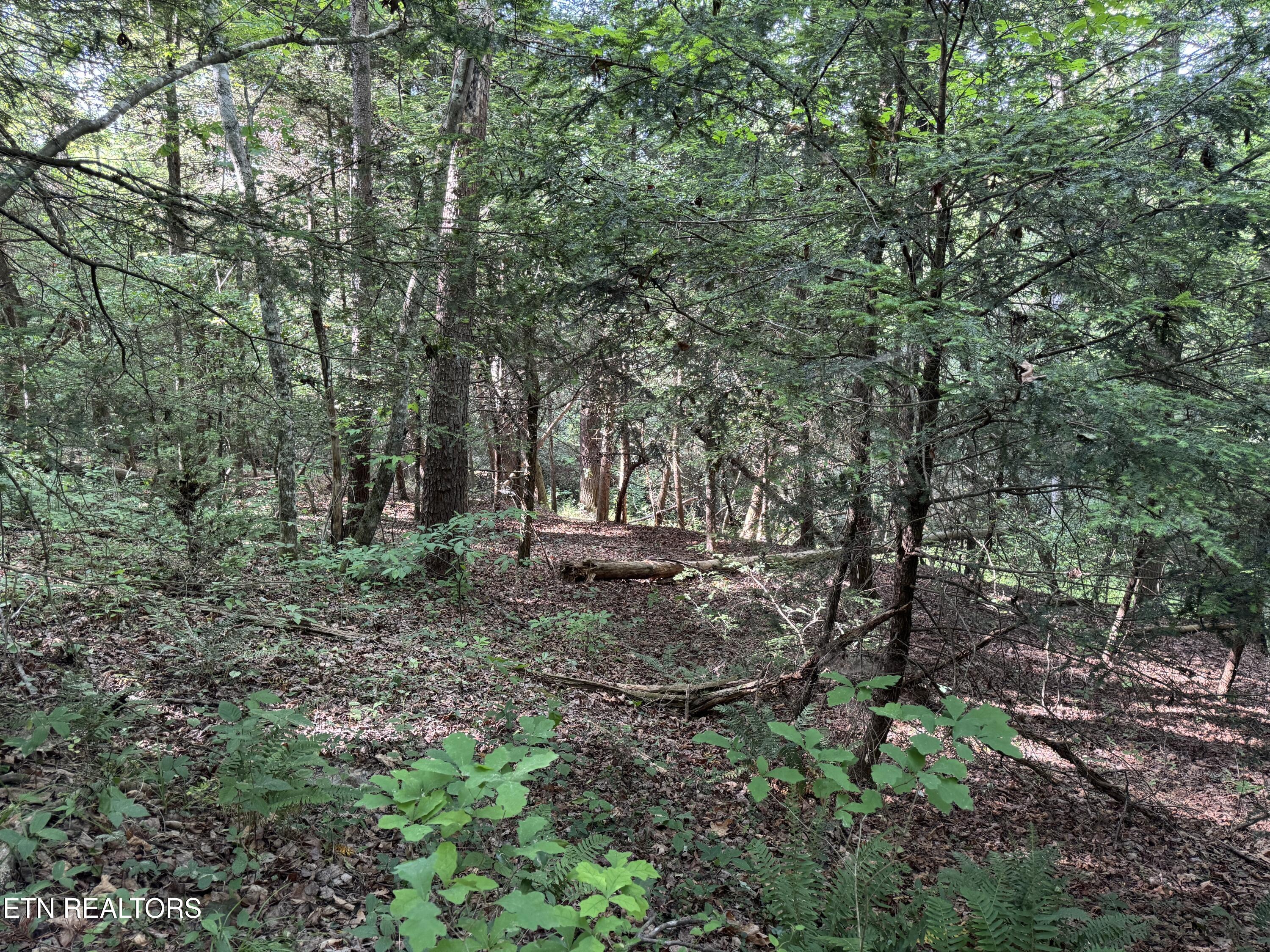4455 Jonesville Road Clarkrange, TN 38553 - Photo 57 of 57 IMG_7296