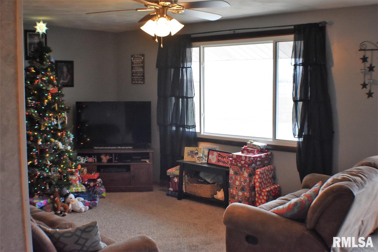 10034 East Ragle Road Astoria, IL 61501 - Photo 5 of 26