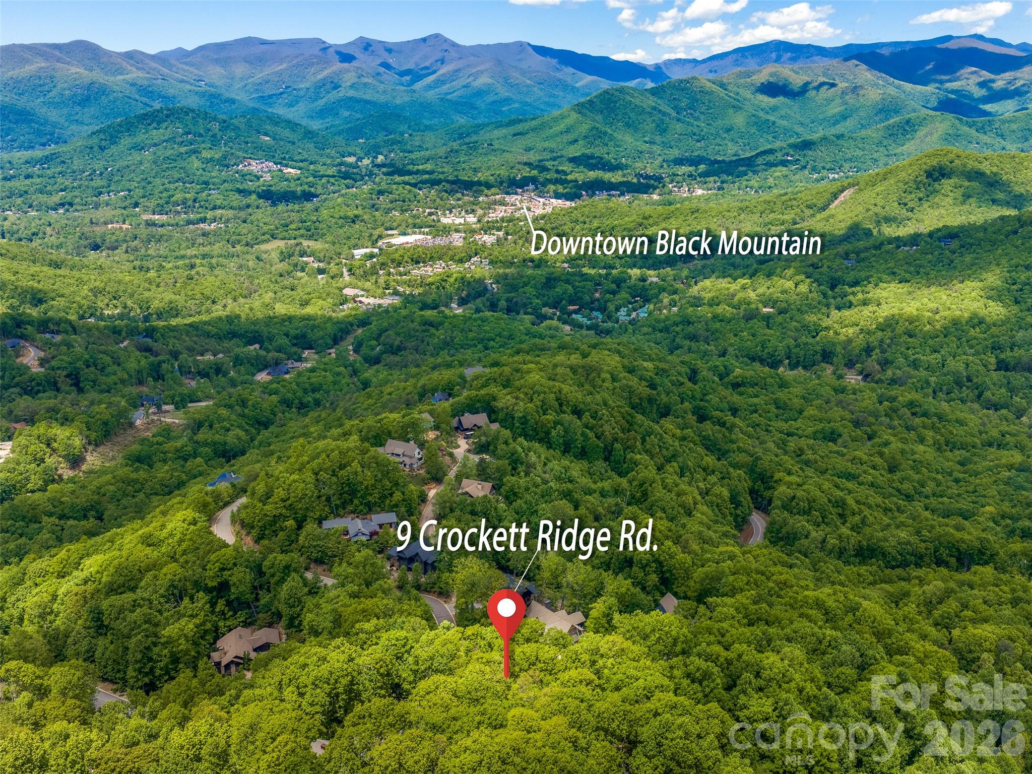 9 Crockett Ridge Road Black Mountain, NC 28711 - Photo 7 of 17