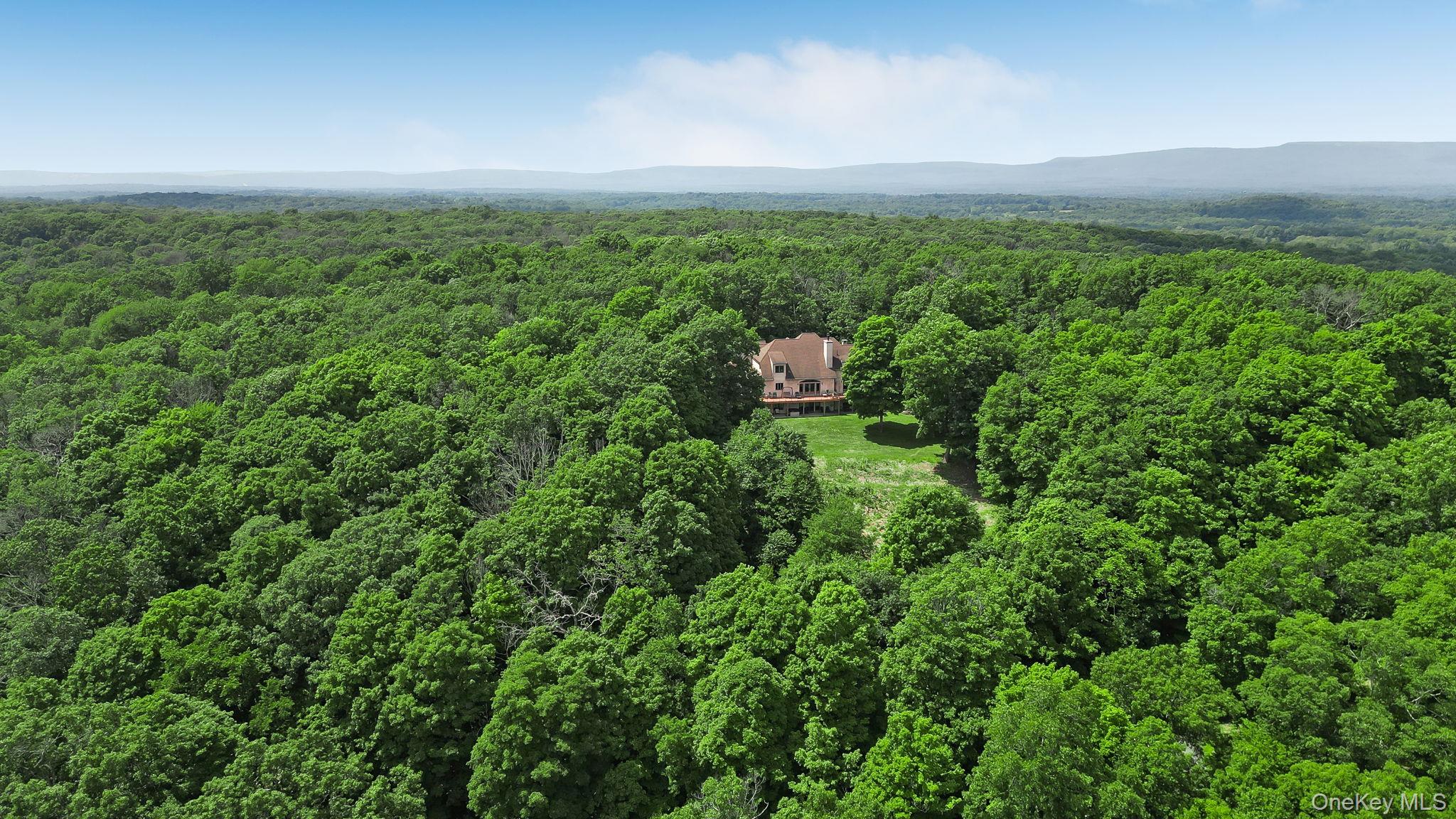 250 Corbett Road Montgomery, NY 12549 - Photo 3 of 43
