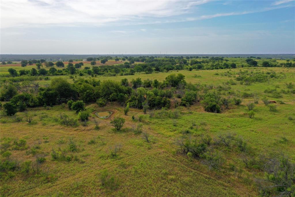 a view of a field of grass and trees