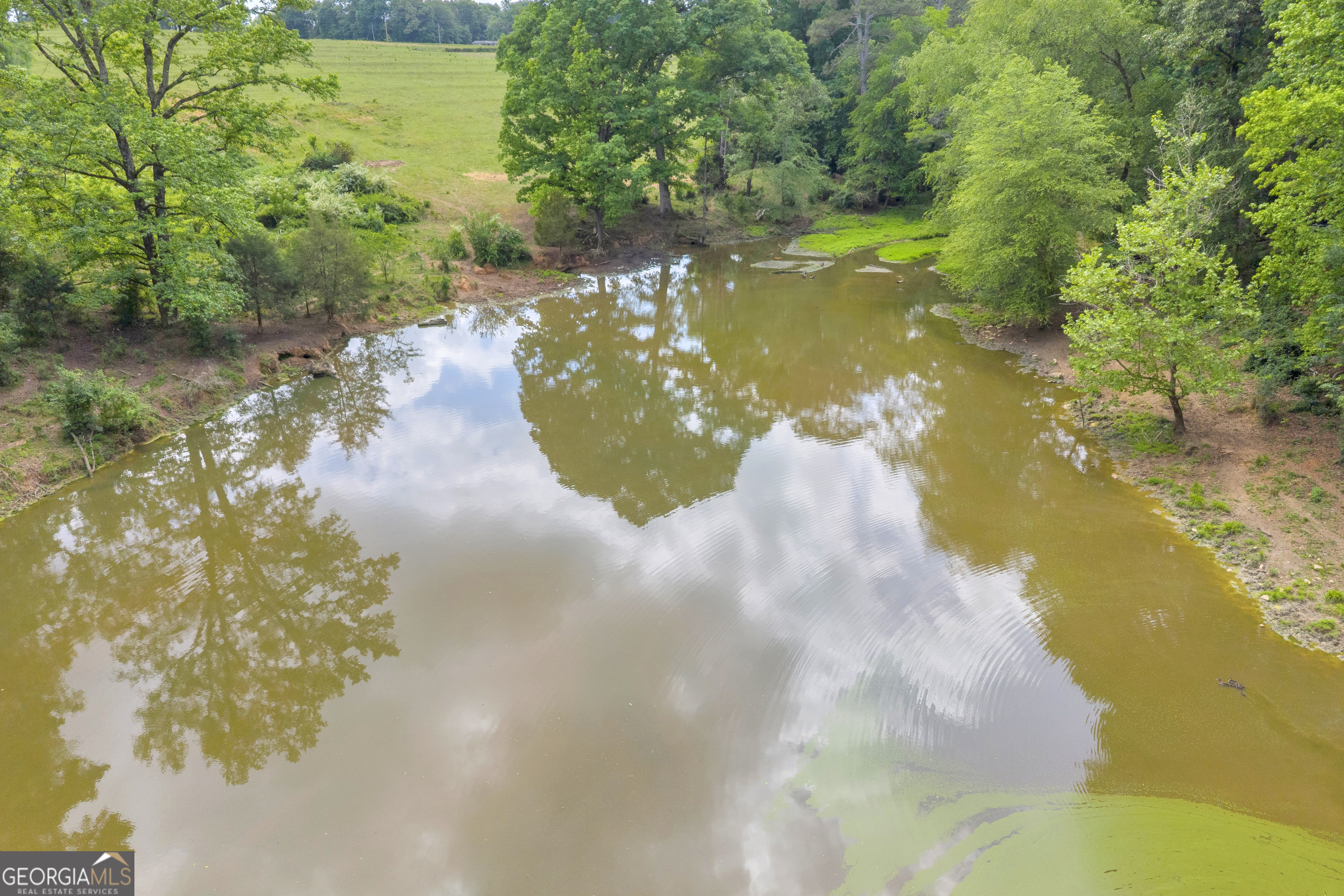 6490 Highway 145 Carnesville, GA 30521 - Photo 17 of 29 a view of a lake from a yard