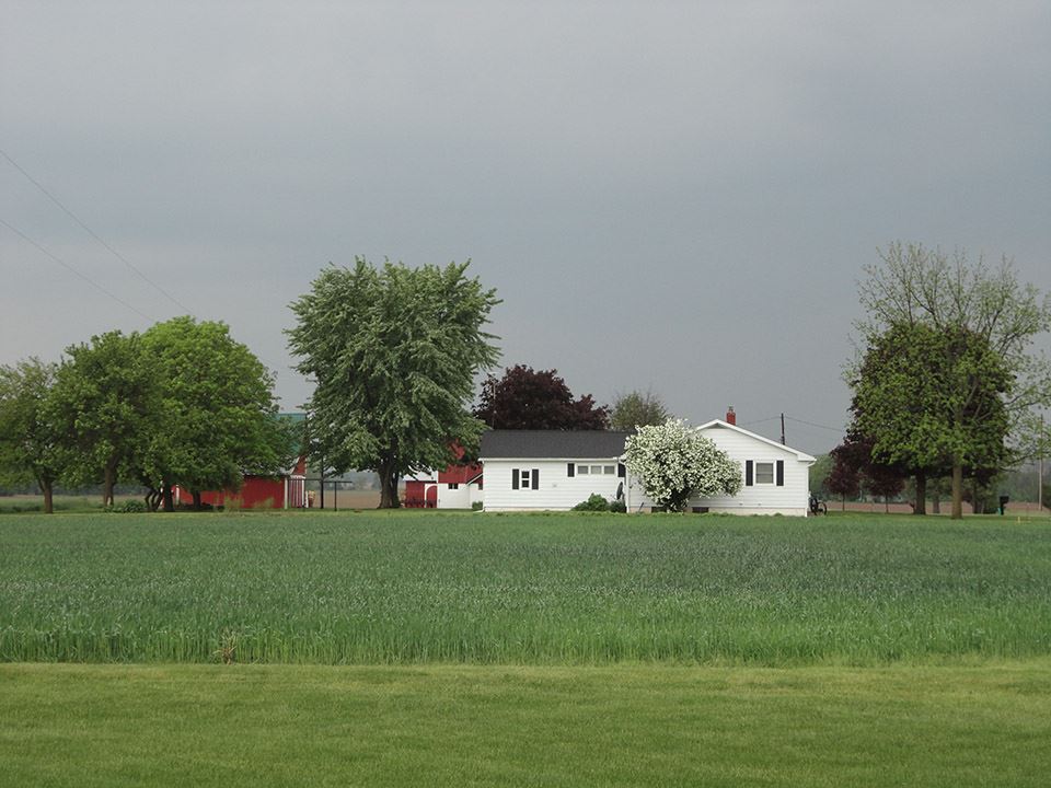 1834298-4.JPG