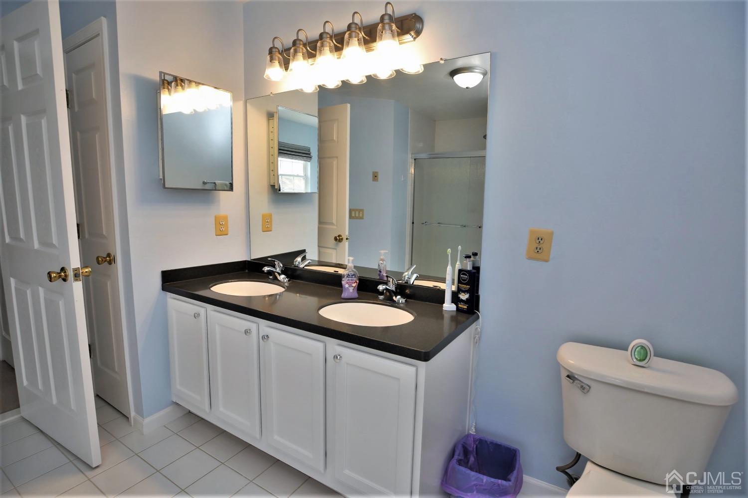 30 Potomac Road Monmouth Junction, NJ 08852 - Photo 35 of 60 a bathroom with a sink and a mirror with toilet