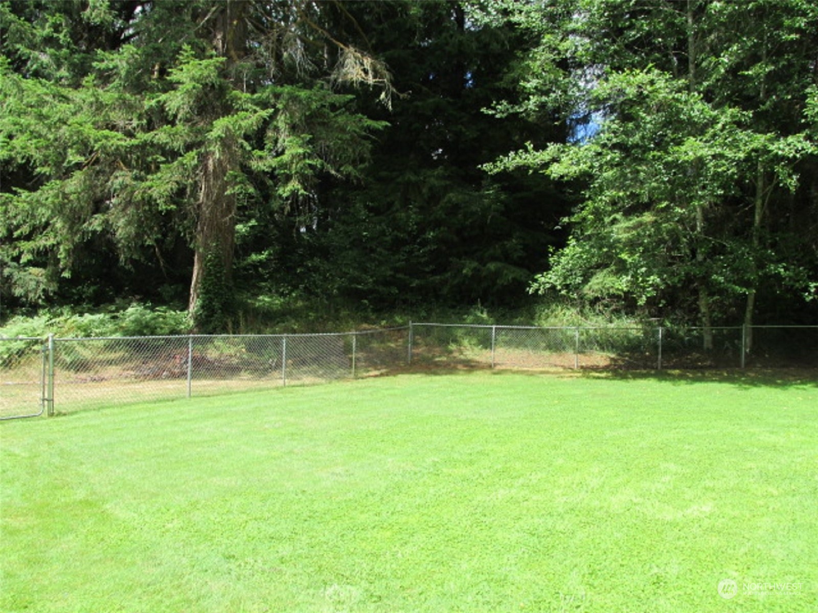632 Cloquallum Road Elma, WA 98541 - Photo 8 of 37 Gallery Image 8