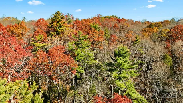 a view of a large building with a tree in the background