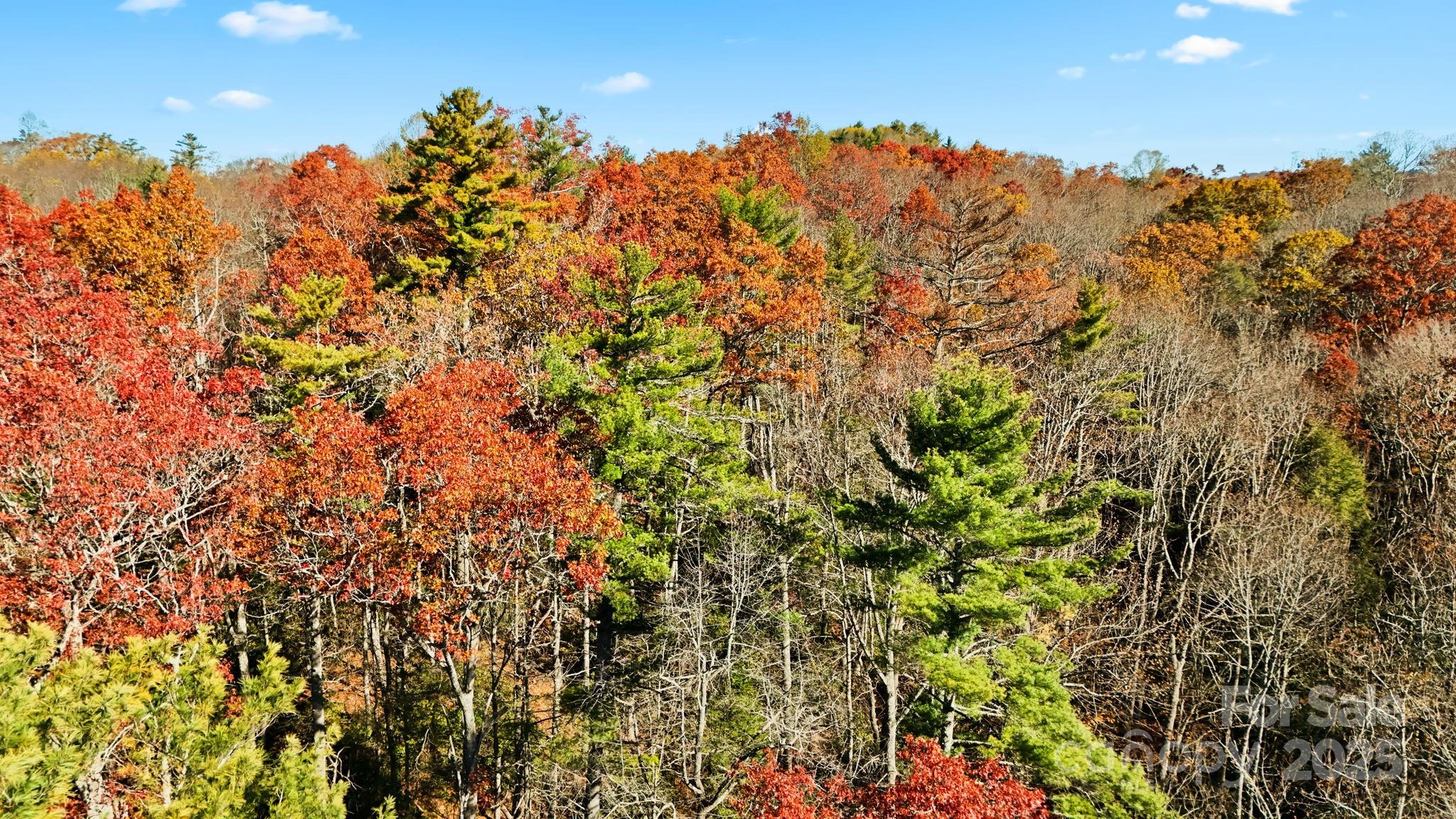 Tbd Tbd Midway Road Newland, NC 28657 - Photo 1 of 23 a view of a large building with a tree in the background