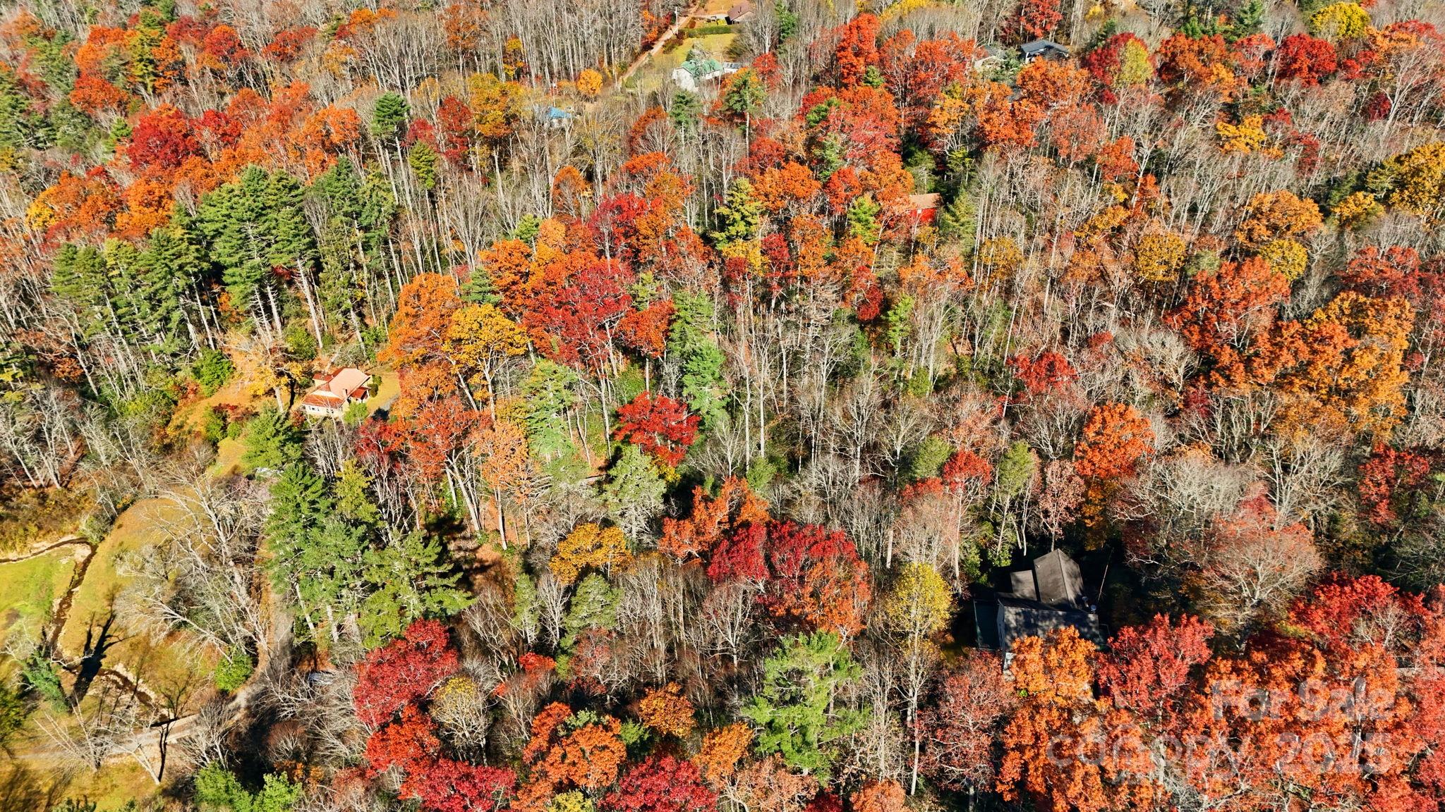Tbd Tbd Midway Road Newland, NC 28657 - Photo 11 of 23 a view of flowers and trees