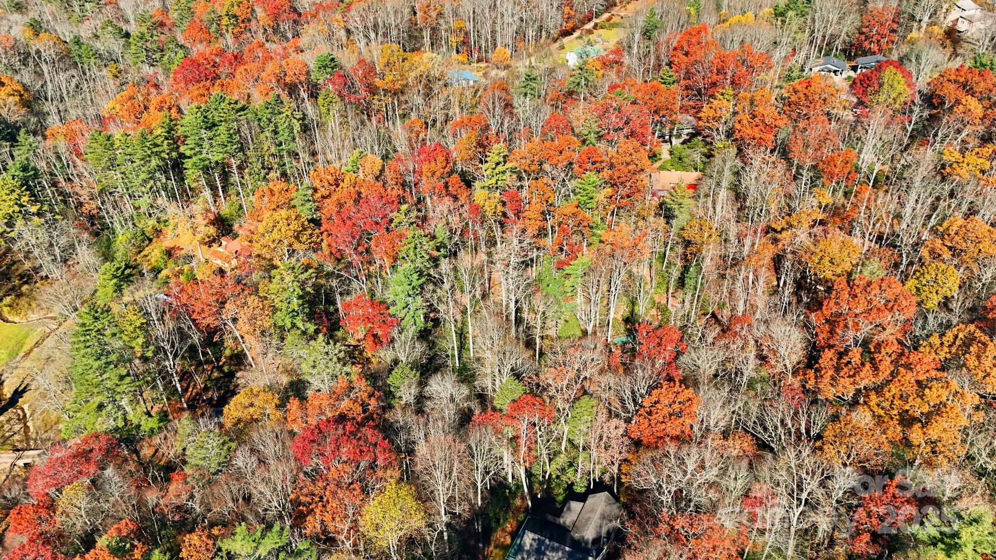 Tbd Tbd Midway Road Newland, NC 28657 - Photo 12 of 23