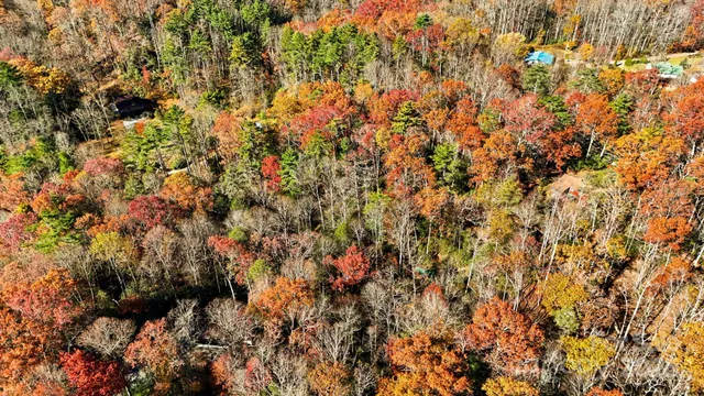 a view of a large building