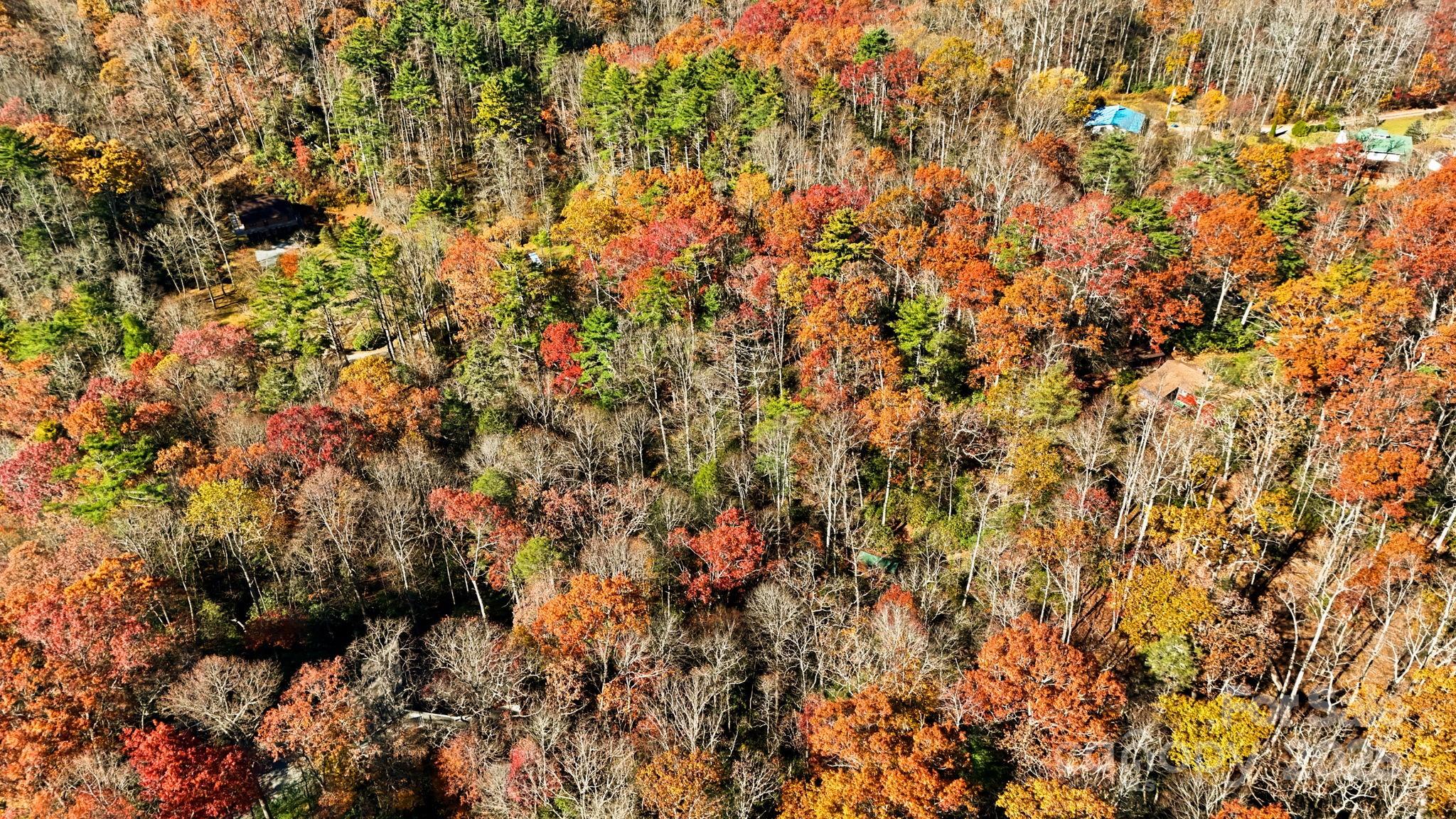 Tbd Tbd Midway Road Newland, NC 28657 - Photo 13 of 23 a view of a tree