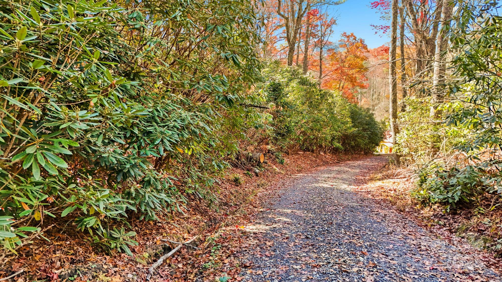 Tbd Tbd Midway Road Newland, NC 28657 - Photo 16 of 23 a view of a yard with a tree