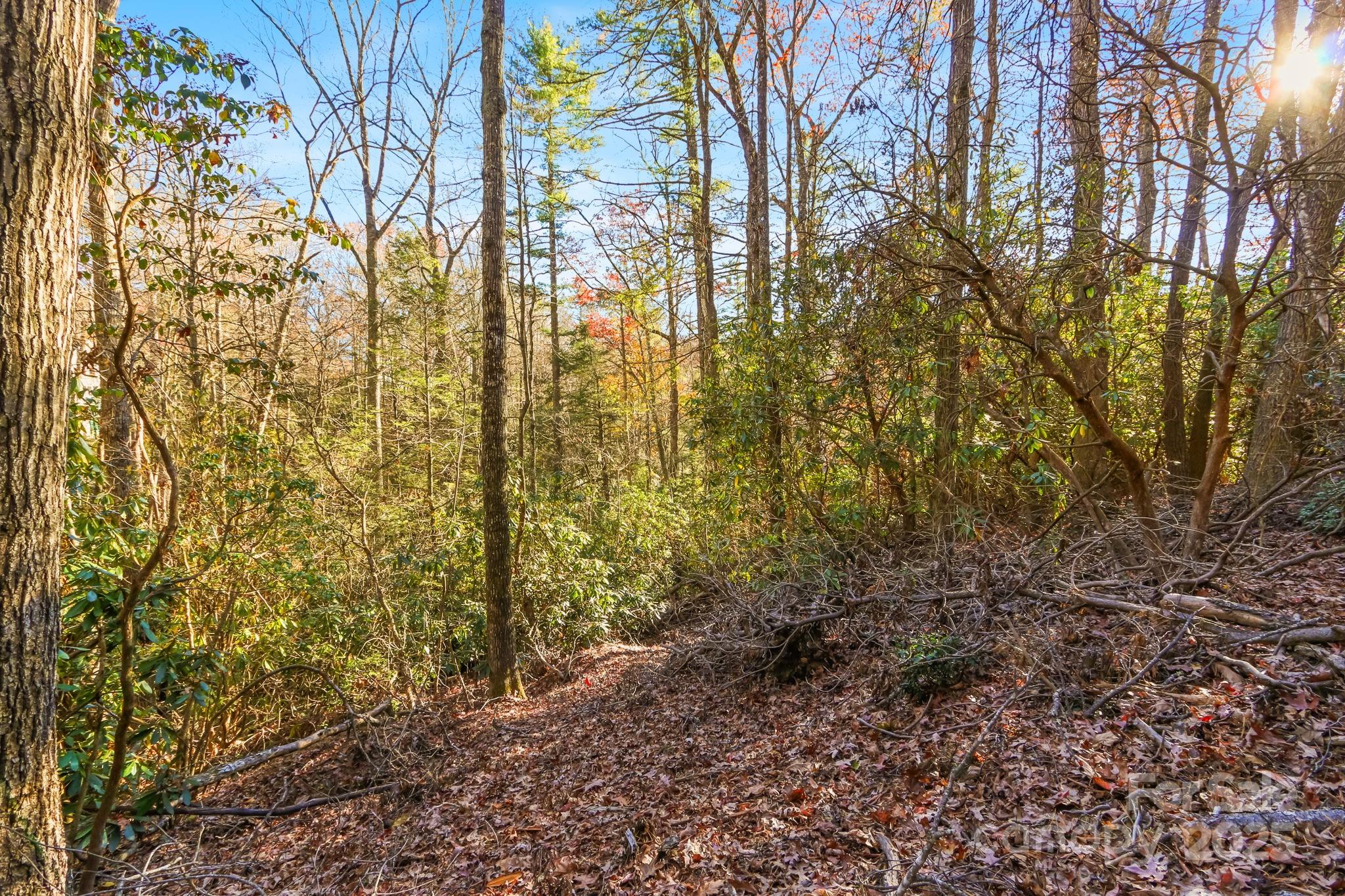 Tbd Tbd Midway Road Newland, NC 28657 - Photo 17 of 23 a view of a yard with plants and tree