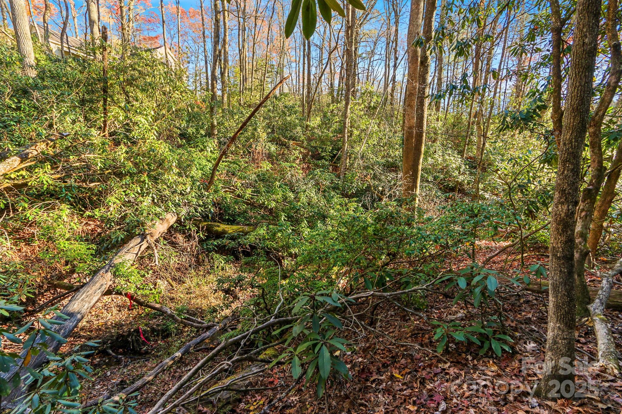 Tbd Tbd Midway Road Newland, NC 28657 - Photo 20 of 23 a view of a garden