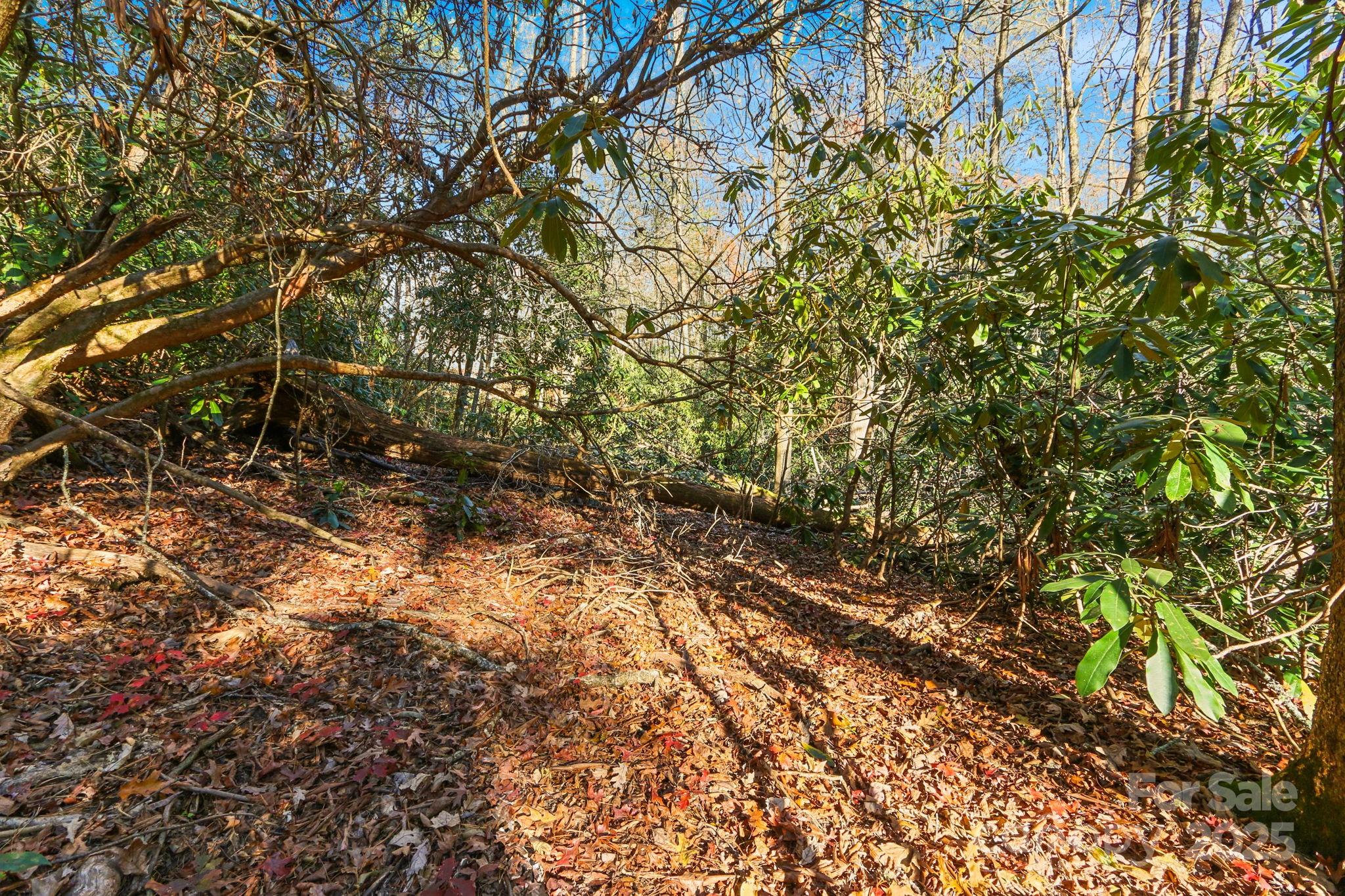 Tbd Tbd Midway Road Newland, NC 28657 - Photo 21 of 23 a view of a yard with a tree