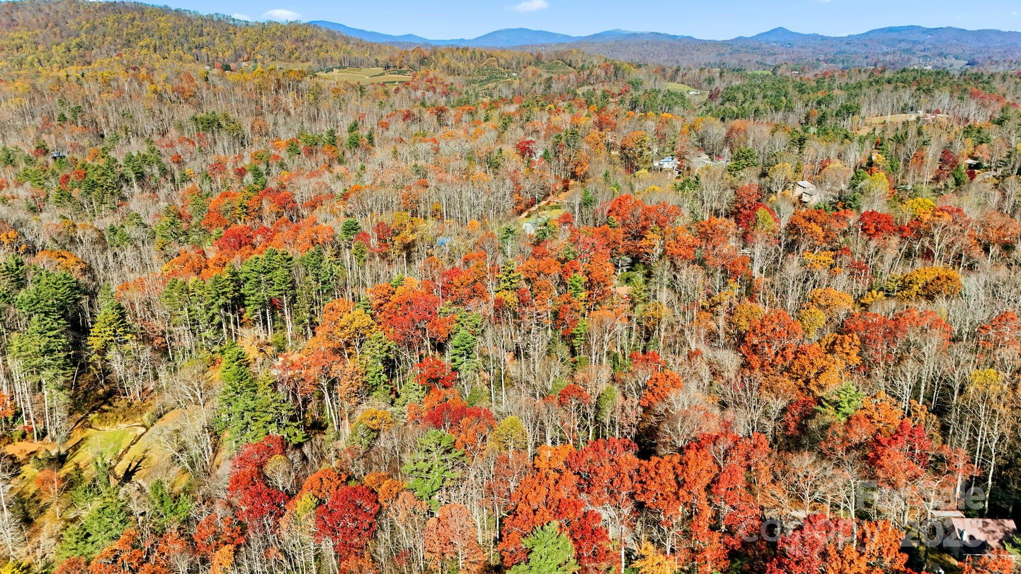 Tbd Tbd Midway Road Newland, NC 28657 - Photo 4 of 23 a view of mountain with trees in the background