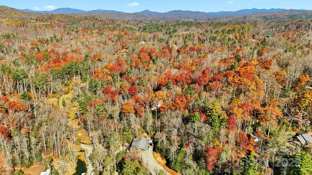 a view of mountain with trees in the background