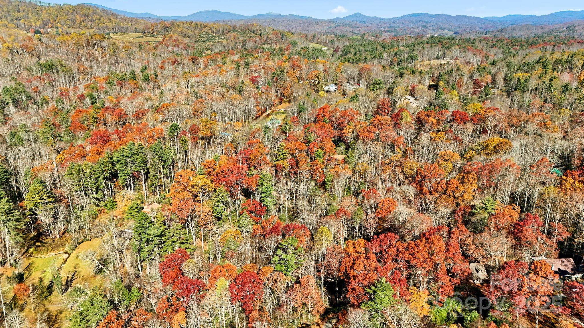 Tbd Tbd Midway Road Newland, NC 28657 - Photo 10 of 23