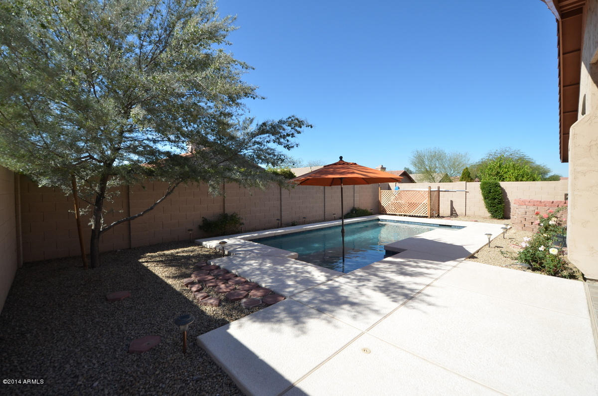 4725 East Jaeger Road Phoenix, AZ 85050 - Photo 21 of 23 Morning Pool