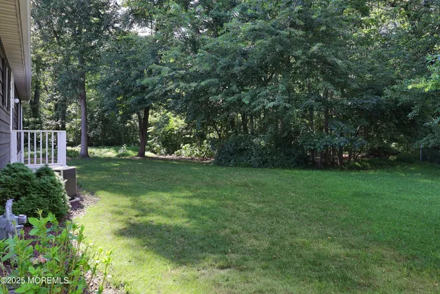 a view of a trees with a yard