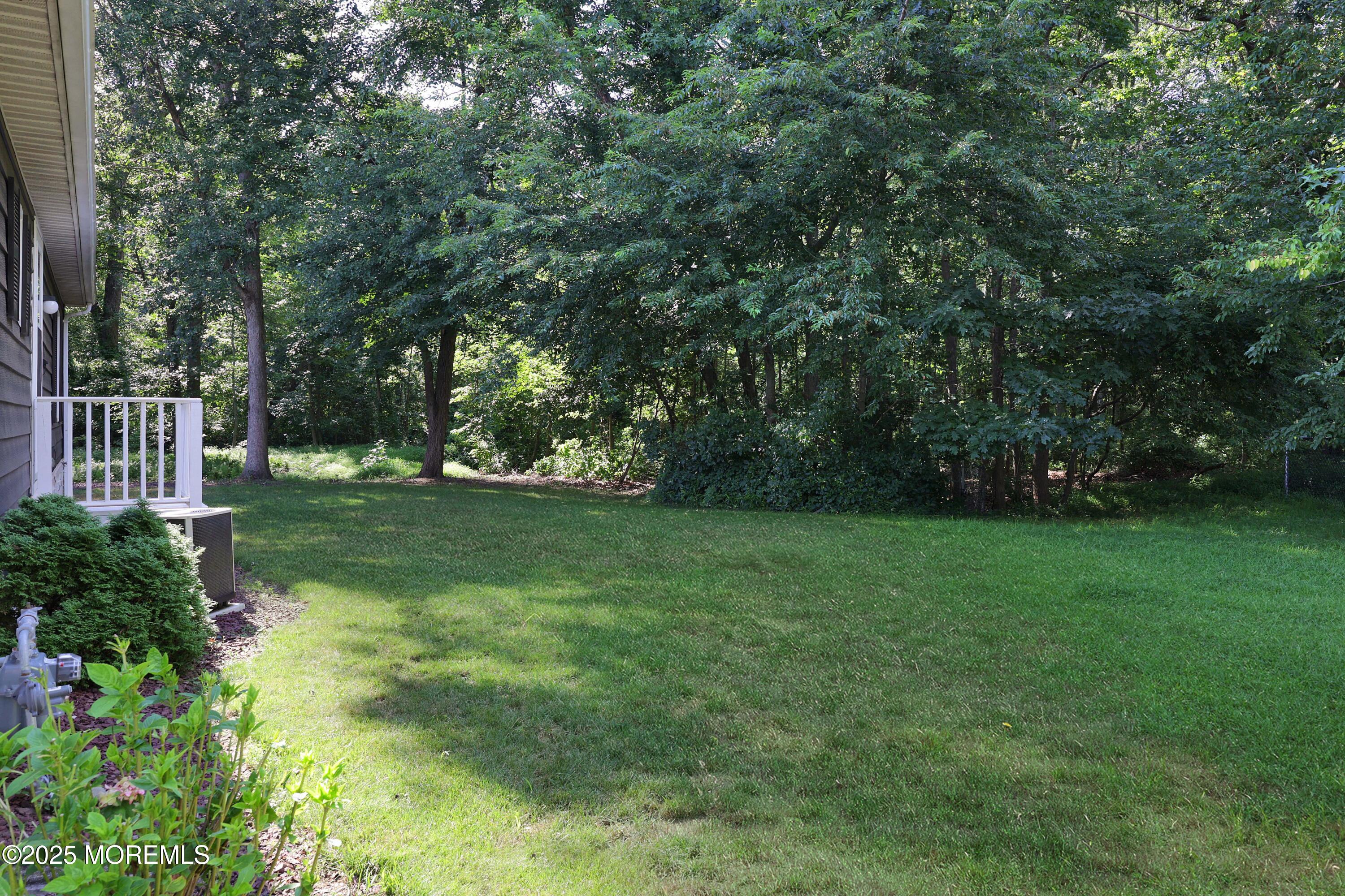 15 Cedar Court Manalapan, NJ 07726 - Photo 5 of 30 a view of a trees with a yard
