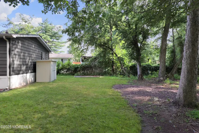 a view of a yard with a house and a large tree
