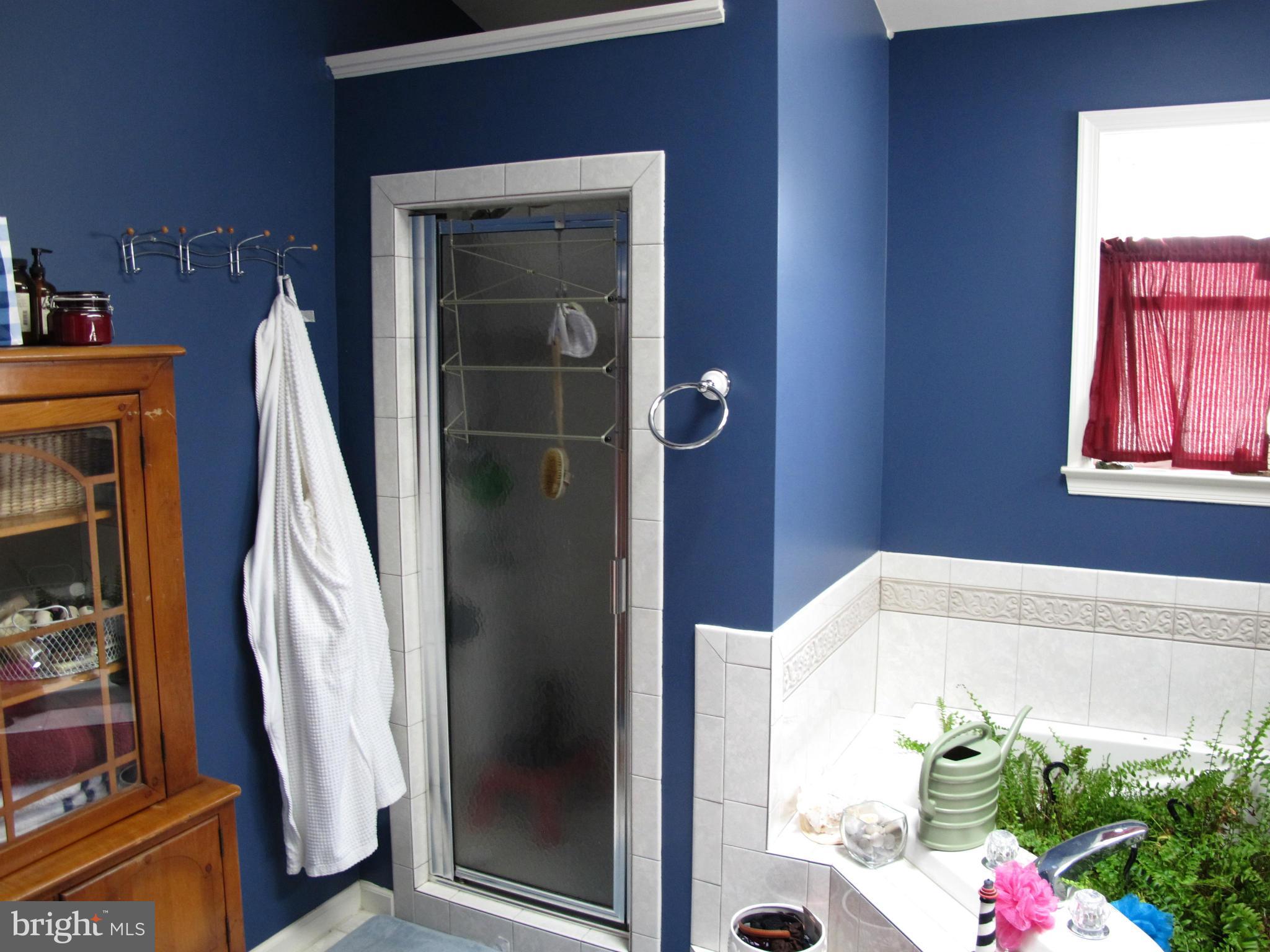9401 North Laurel Road Laurel, MD 20723 - Photo 16 of 25 Bath (Master)