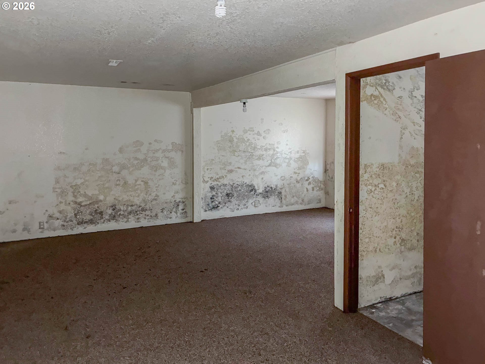 1890 Upper Camas Road Camas Valley, OR 97416 - Photo 29 of 32