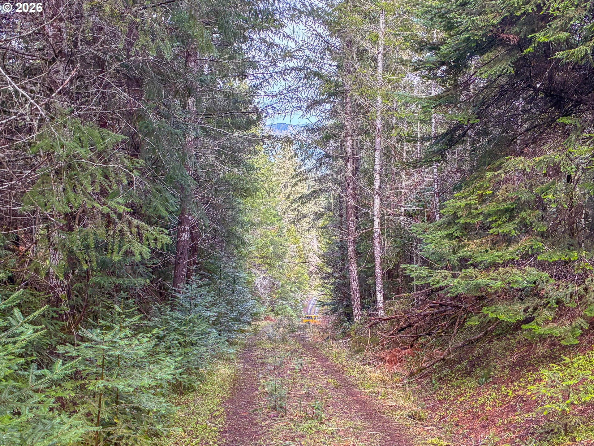 1890 Upper Camas Road Camas Valley, OR 97416 - Photo 30 of 32