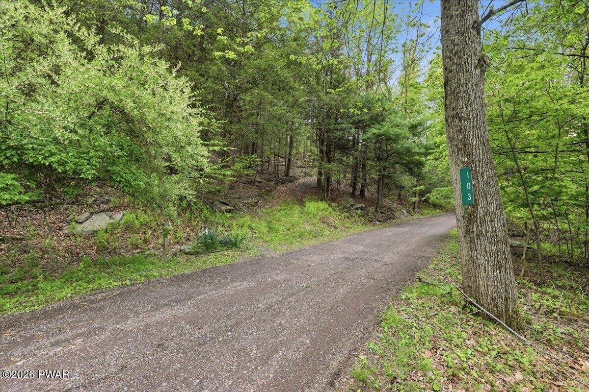 103 Forever Green Road Lakeville, PA 18438 - Photo 24 of 179